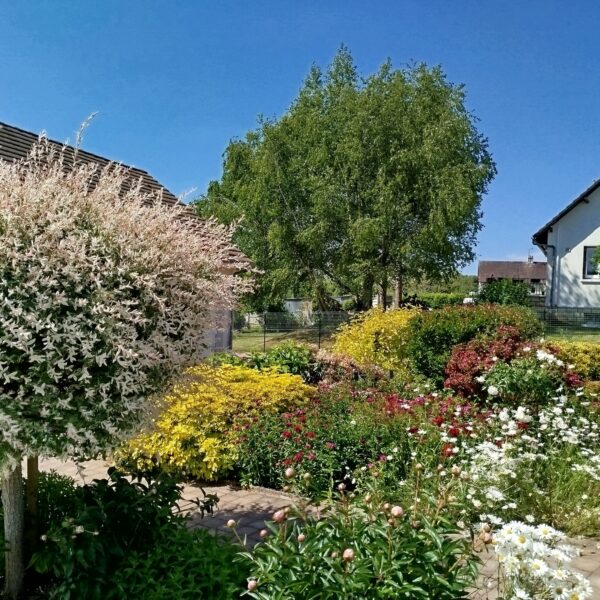 Création d'espaces verts